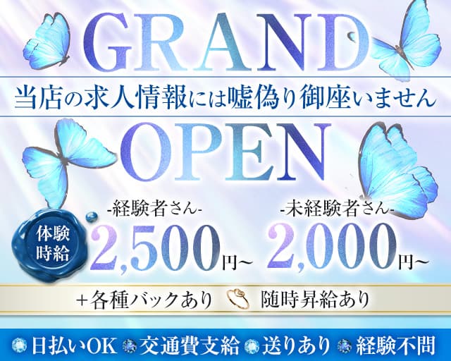 Girl's Bar Nabi（ナビ）のガールズバー体入