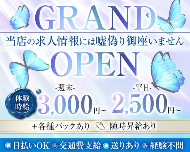 Girl's Bar Nabi（ナビ）のガールズバー体入