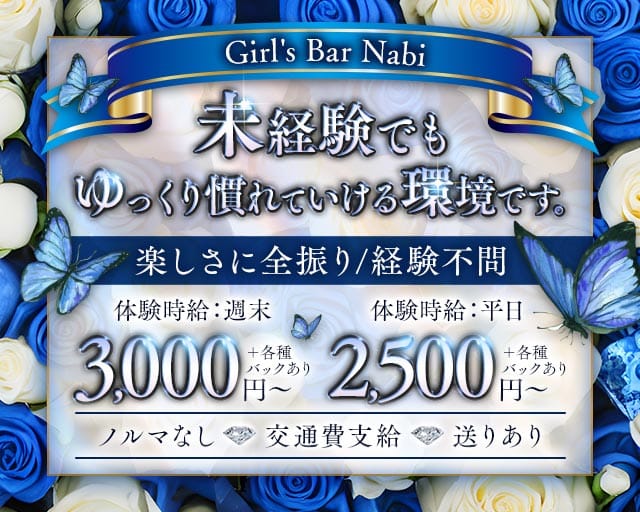 Girl's Bar Nabi（ナビ） バナー