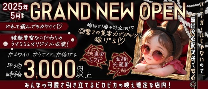 コンカフェ MissBunny（ミスバニー）(梅田ガールズバー)の求人・体験入店情報
