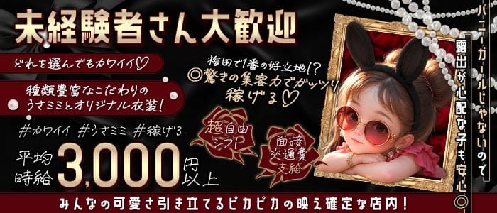 コンカフェ MissBunny（ミスバニー）(梅田ガールズバー)の求人・体験入店情報
