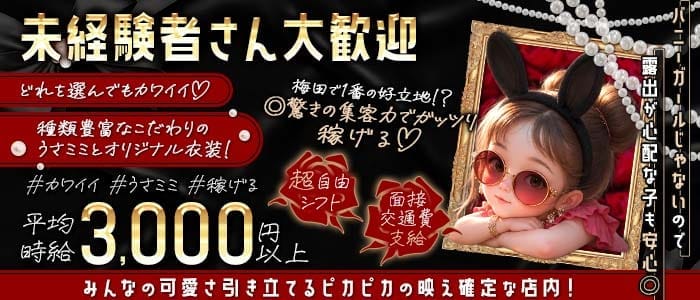 コンカフェ MissBunny（ミスバニー）(梅田ガールズバー)の求人・体験入店情報