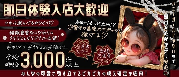 コンカフェ MissBunny（ミスバニー）(梅田ガールズバー)の求人・体験入店情報