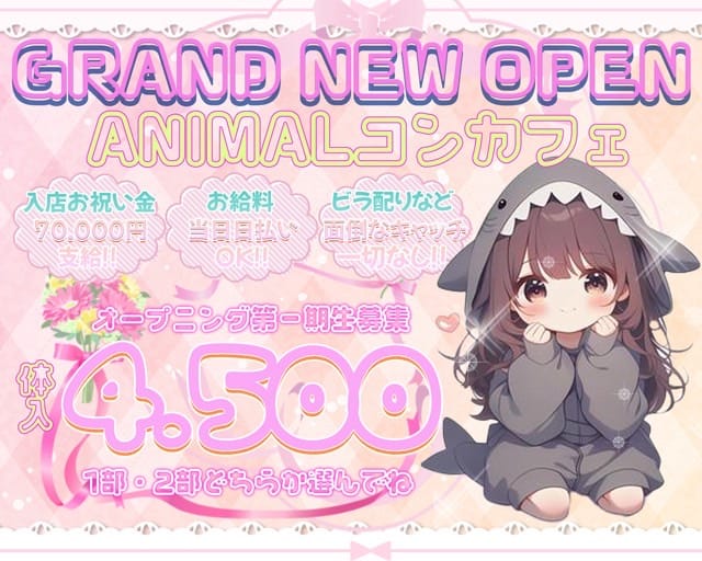 HoneyHoney（ハニーハニー）のガールズバー体入