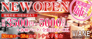 美姉CLUBVIANE(ヴィアネ)【公式求人・体入情報】(下北沢姉キャバ・半熟キャバ)の求人・体験入店情報