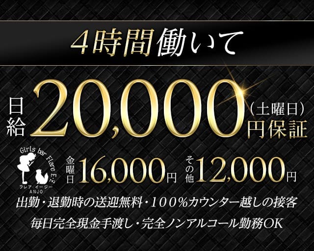 Flare E･Z ANJO（フレアイージー）(安城ガールズバー)の求人・体験入店情報