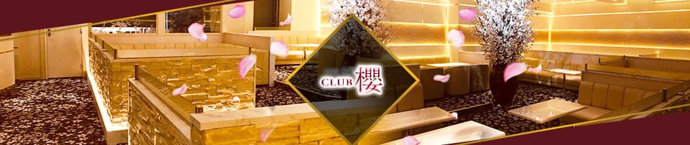 Club櫻～クラブ サクラ～【公式求人・体入情報】 八王子キャバクラ TOP画像
