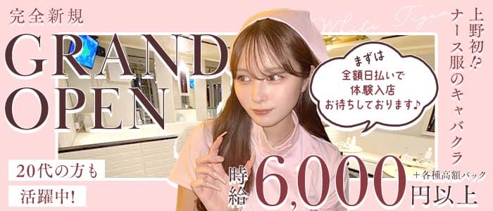 ホワイトタイガー(上野キャバクラ)の求人・体験入店情報
