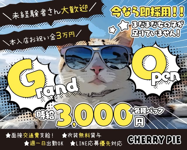 【赤羽】CHERRY PIE（チェリーパイ）のガールズバー体入