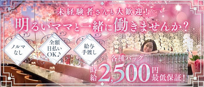 Daisy（デイジー）(姫路スナック)の求人・体験入店情報