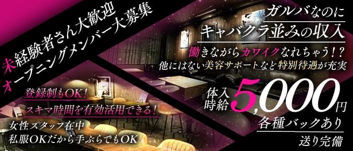 CODE（コード）(千葉ガールズバー)の求人・体験入店情報