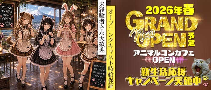 【甲府】コンカフェ VEGA（ベガ）(中央ガールズバー)の求人・体験入店情報