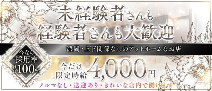 Lounge Stella（ステラ）(浜松スナック)の求人・体験入店情報