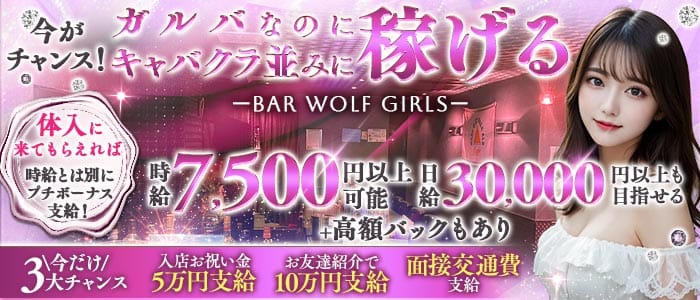 【稲田堤】BAR WOLF GIRLS（ウルフガールズ） 調布ガールズバー 未経験募集バナー