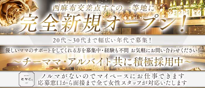 【西麻布】スナック とりこ。(六本木スナック)の求人・体験入店情報
