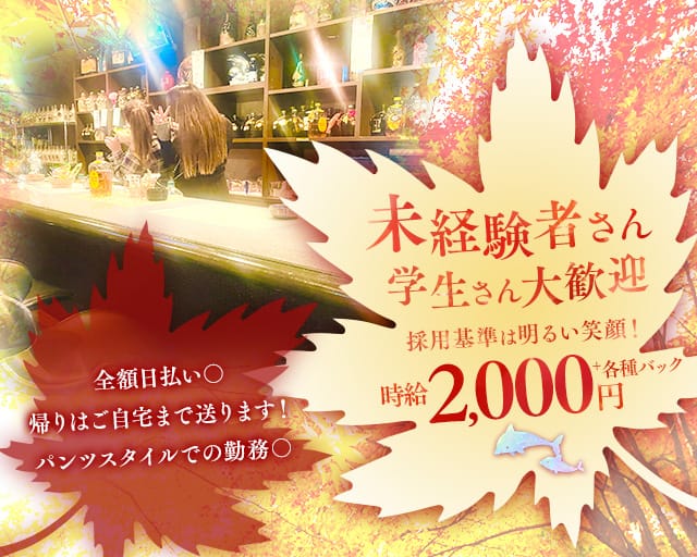 【藤井寺】スナック海豚（いるか）のスナック体入