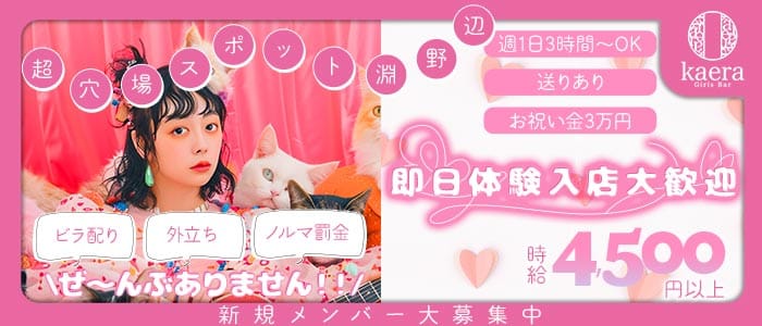 【淵野辺】girls bar kaera（カエラ）(相模大野ガールズバー)の求人・体験入店情報