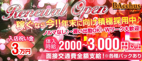 【大井町】BAcchus(バッカス)【公式求人情報】(大井町ガールズバー)の求人・バイト・体験入店情報