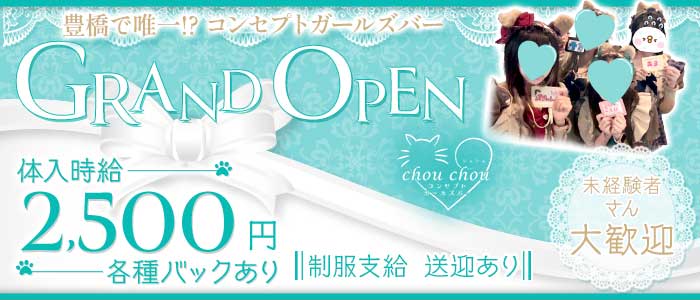 chou chou（シュシュ）(豊橋ガールズバー)の求人・体験入店情報