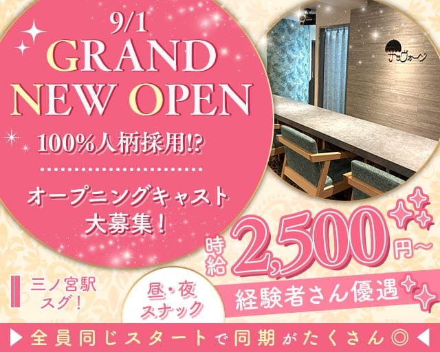 【昼・夜】サラヴォーンのスナック体入