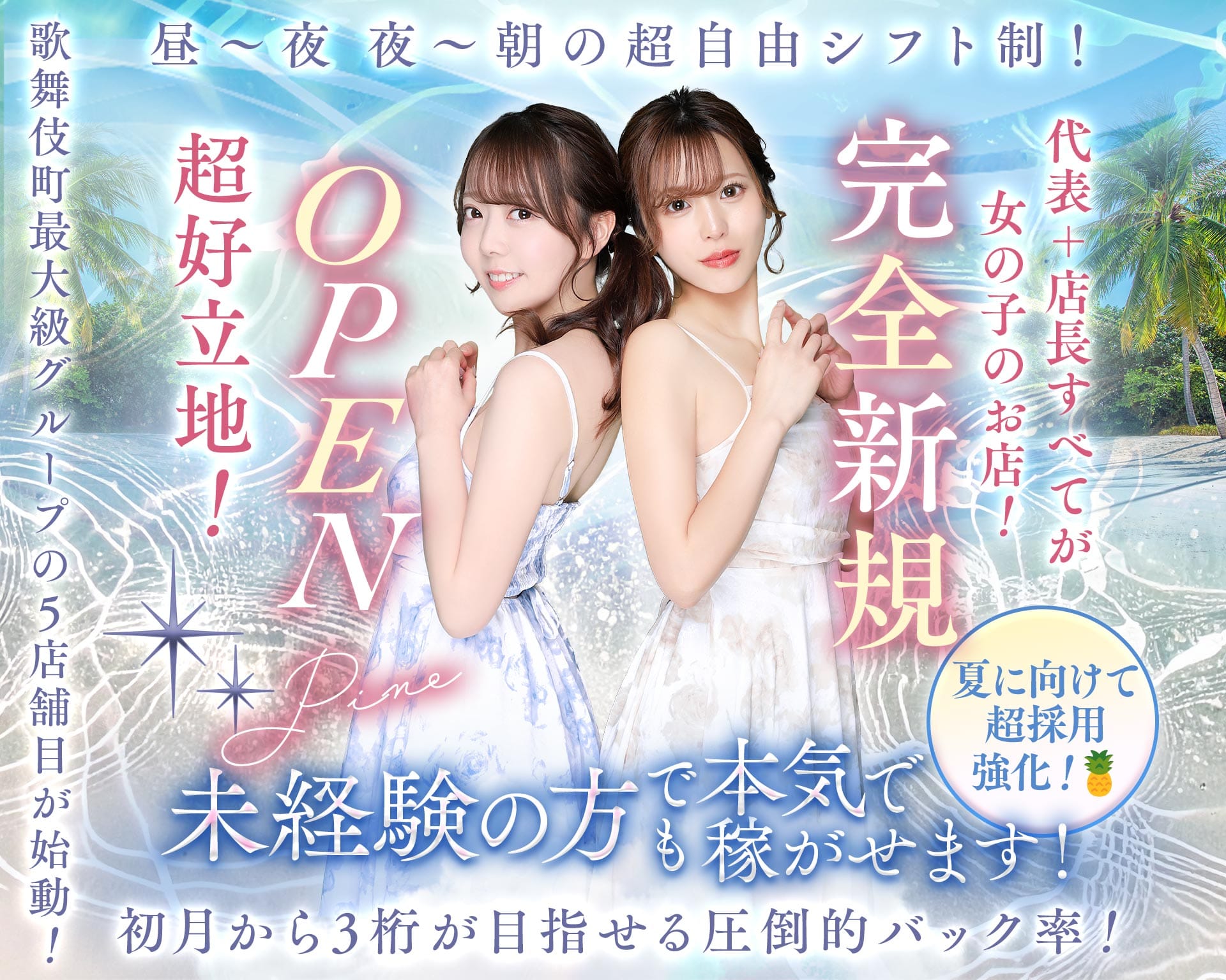 【朝・昼・夜】Girl's Bar Pine（パイン） 歌舞伎町ガールズバー TOP画像