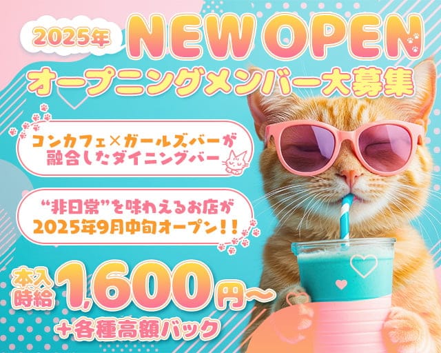 NYAN NYAN GANG（ニャン ニャン ギャング）のガールズバー体入
