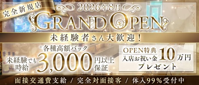 【北新地】Dress Kita-Shinchi(ドレス キタシンチ)(北新地ガールズバー)の求人・体験入店情報