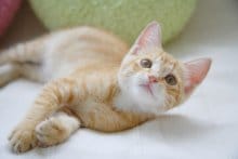 Bar Queen (クイーン) 担当名/採用担当画像