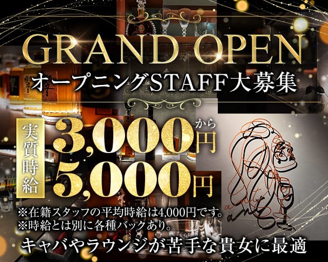 Bar Lounge 蟻（あり）のラウンジ体入
