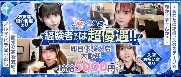 【昼・夜】Franc（フラン）(関内ガールズバー)の求人・体験入店情報