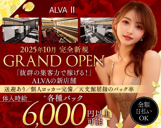 ALVAⅡ（アルバ ツー）のキャバクラ体入
