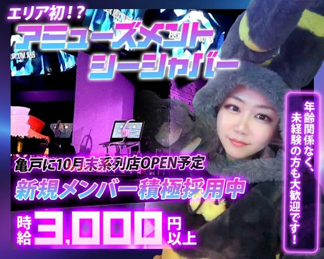 Bar Mix Nuts（ミックスナッツ）のガールズバー体入