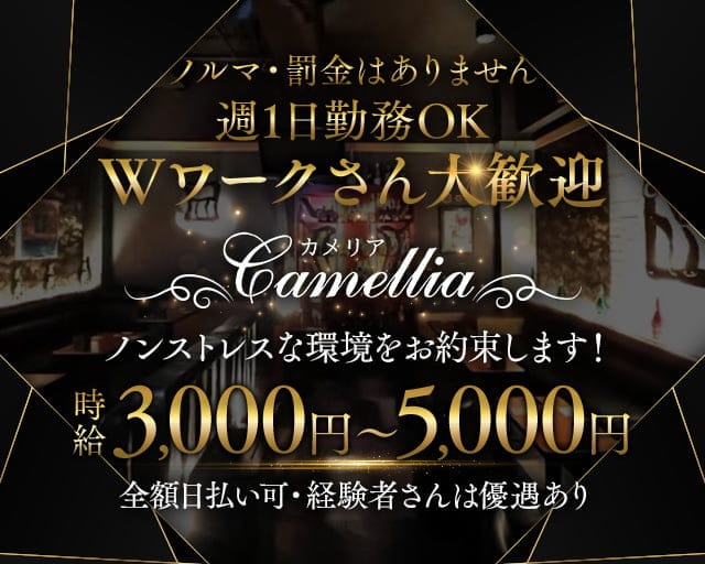 club camellia（カメリア）のキャバクラ体入