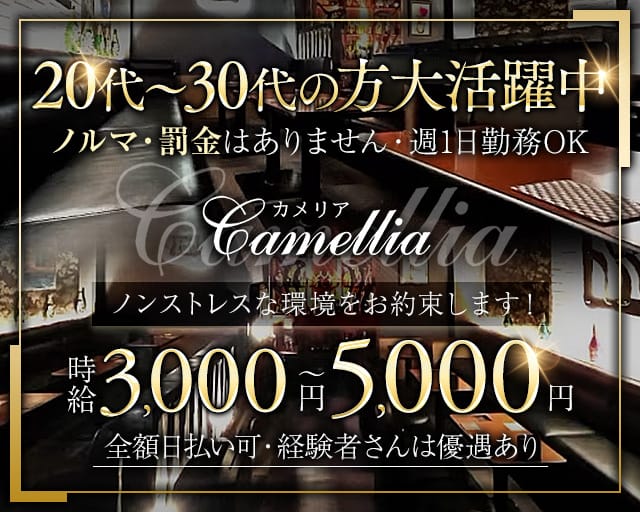 club camellia（カメリア）のキャバクラ体入