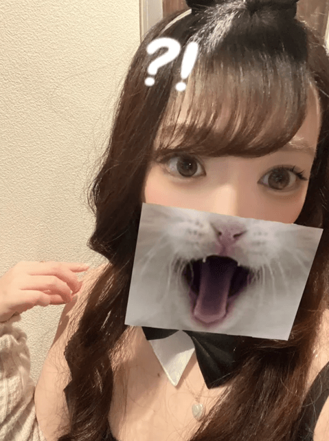 キキ焼肉とバニーガール名古屋錦店 画像1