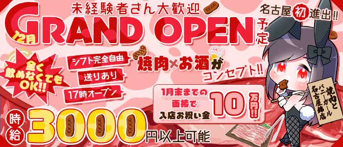 焼肉とバニーガール名古屋錦店(錦ガールズバー)の求人・体験入店情報