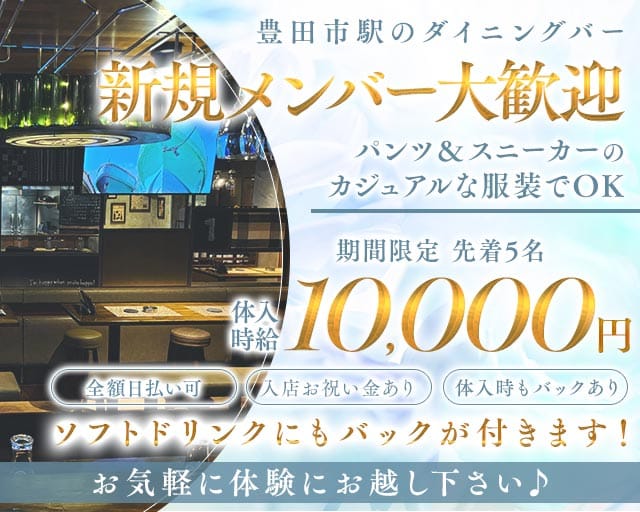 VEGEBIRD（ベジバード）のガールズバー体入