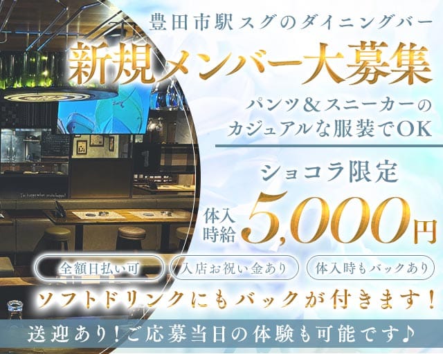 VEGEBIRD（ベジバード）(豊田ガールズバー)の求人・体験入店情報