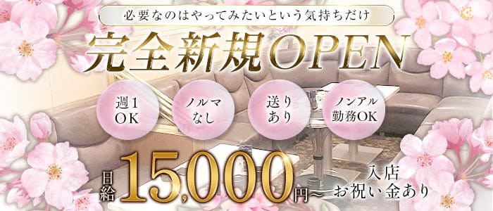 Lounge Misty（ミスティー）(浜松ラウンジ)の求人・体験入店情報