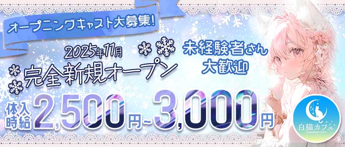 白猫カフェ（シロネコカフェ）(郡山ガールズバー)の求人・体験入店情報