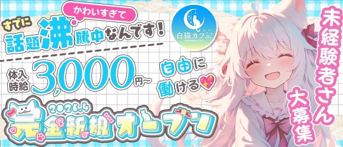 白猫カフェ（シロネコカフェ）(郡山ガールズバー)の求人・体験入店情報