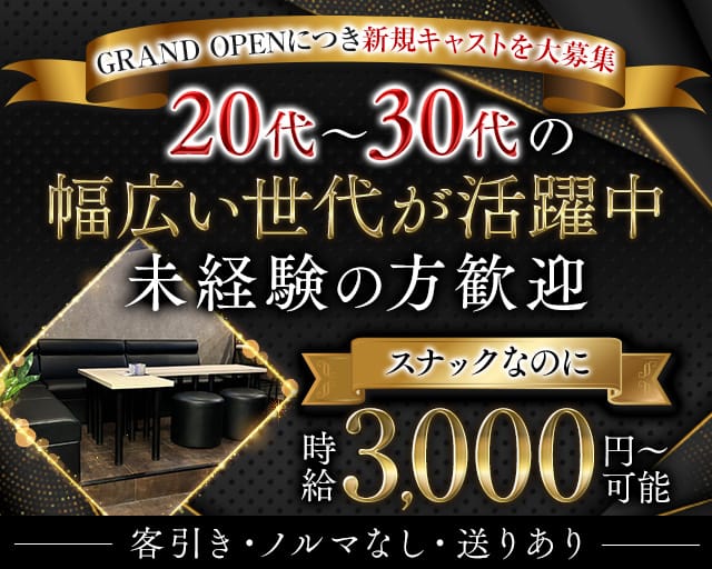 SALON（サロン）(大宮スナック)の求人・体験入店情報