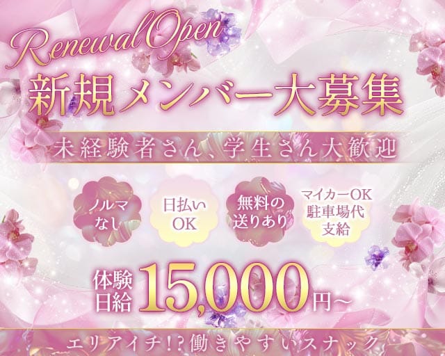 バッテリーのスナック体入