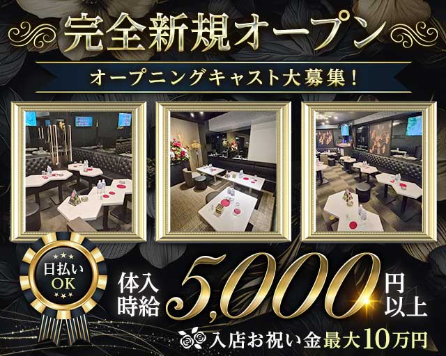 NOX ZERO（ノックスゼロ）のキャバクラ体入