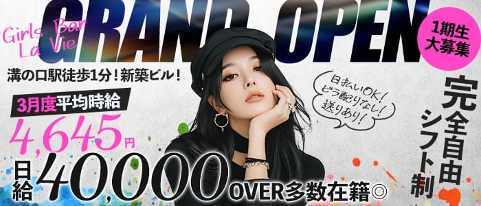 Girls Bar La Vie（ラヴィ）(溝の口ガールズバー)の求人・体験入店情報