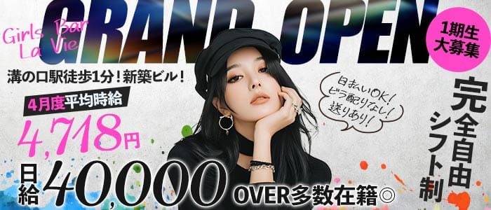 Girls Bar La Vie（ラヴィ）(溝の口ガールズバー)の求人・体験入店情報
