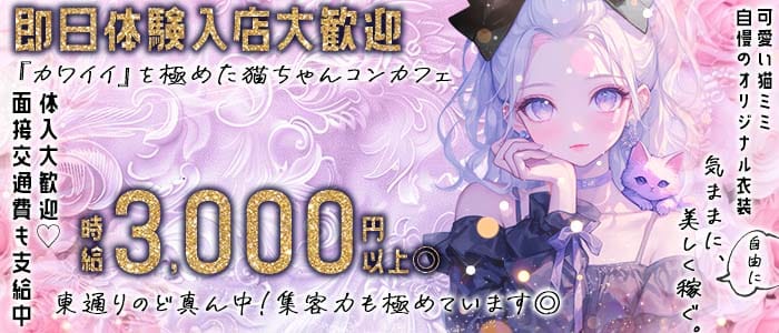 Lily Bell（リリーベル） 梅田ガールズバー 即日体入募集バナー