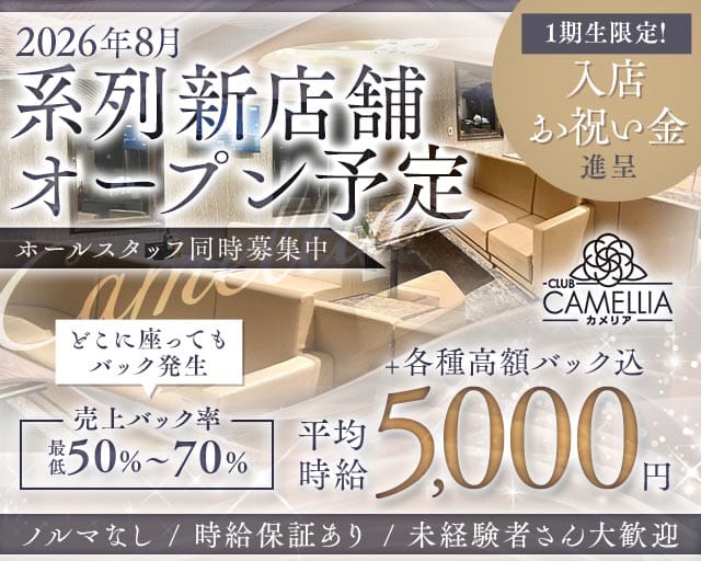 Camellia（カメリア）(三宮ラウンジ)の求人・体験入店情報