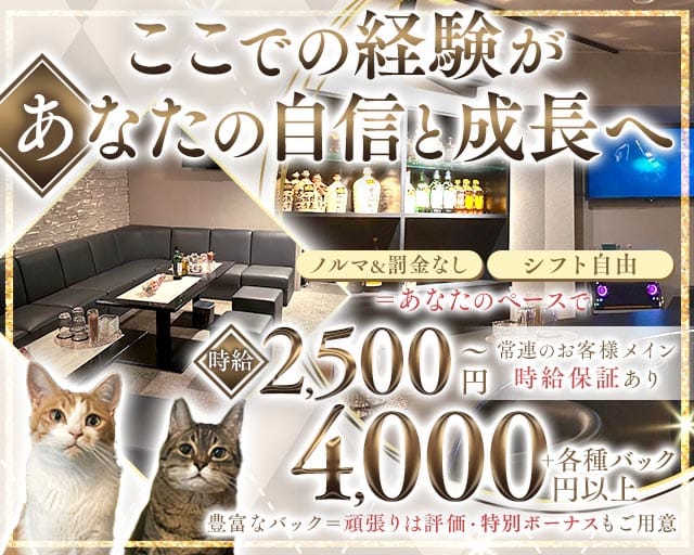 Member's黒田(姫路スナック)の求人・体験入店情報