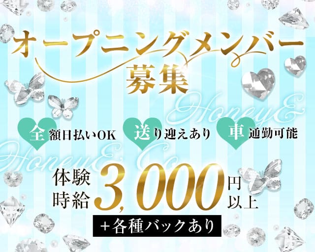 HONEY＆Co.（ハニーコー）のガールズバー体入